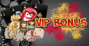 Vip bonus